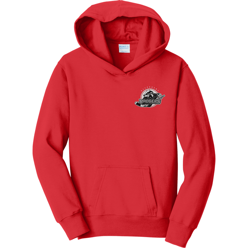 Allegheny Badgers Youth Fan Favorite Fleece Pullover Hooded Sweatshirt